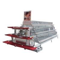 Type automatique de la ferme A cage de poulet de couche avec le système potable de volaille