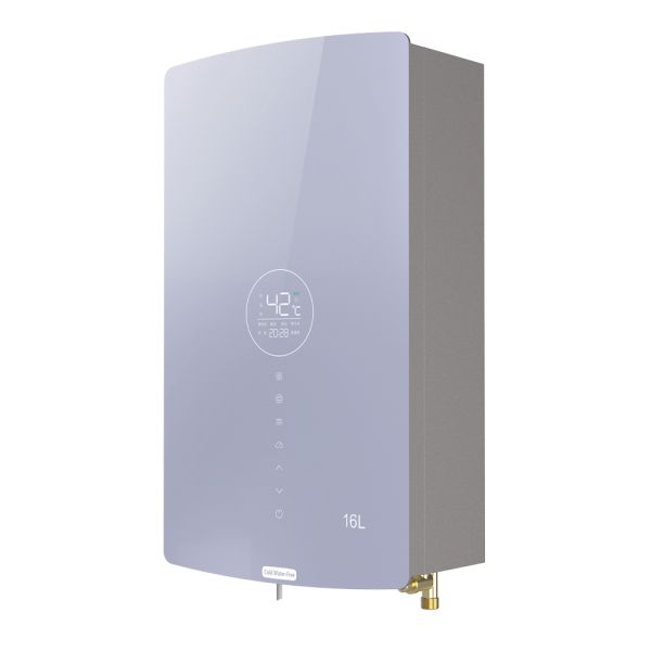 Energy Saving Smart Gas Boiler Instant Water Heater Built-in Copper Heat Exchanger Recirculation Pump for Apartment