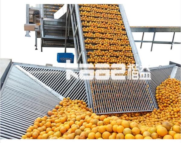 0.05t/Hr NFC Juice Processing Line Citrus Fruit Orange Juice Production Line