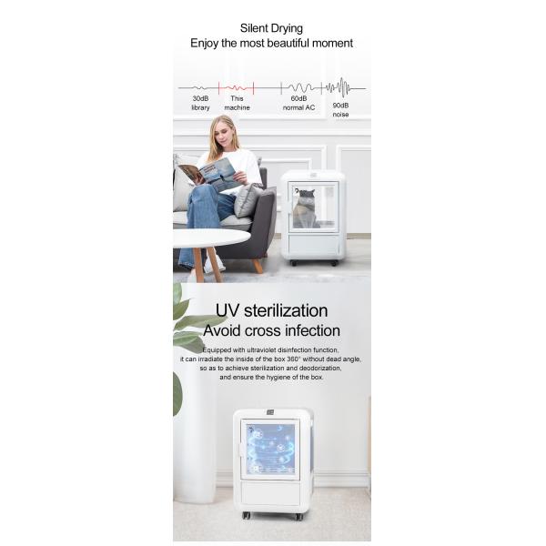 Intelligent Automatic Pet Dryer Box Cat 1650W For Pet Grooming Cleaning