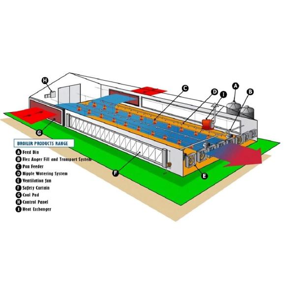 Гальванизированная легкая стальная рама Строительство птицеводческий дом Куриная ферма болты соединение