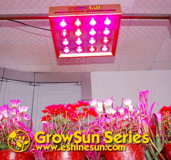 Eshine cob programmable grow led light for vegetable agriculture growth