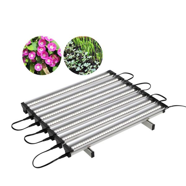 High Lumen Led Grow Lights For Houseplants Horticultural LED Hydroponics And Indoor Plants