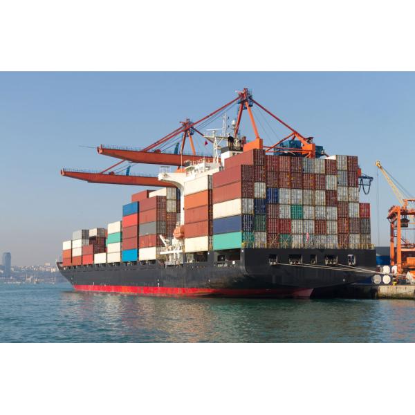 Агент обслуживания доставки Fba Амазонки от Китая к Соединенным Штатам Британии Канаде немецкой Италии Амазонке