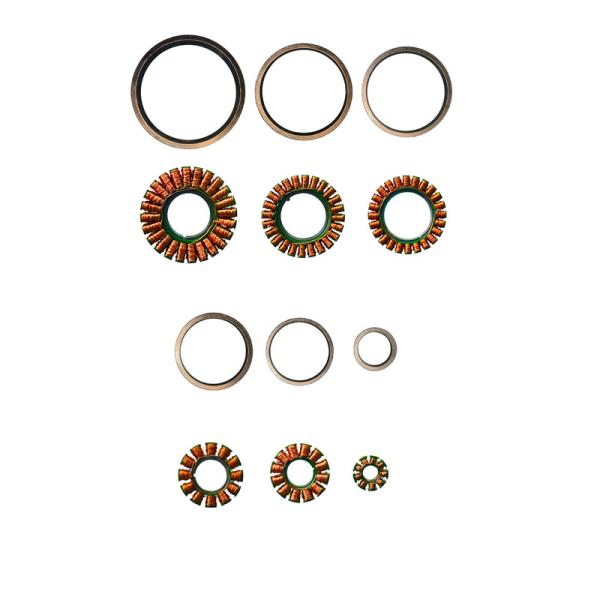Faradyi Customized Bldc Iner Runner Frameless 300W Worm Gear Motor Ev-Complete Set With 200Hp Ac Water Pump Motor And Gear Box