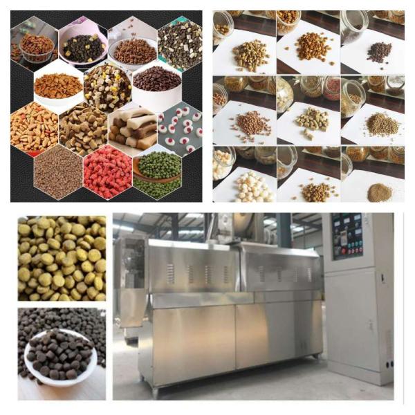 Тип машины углерода стальной сухой штрангпресса собачьей еды винта штрангпресса питания рыб одиночные
