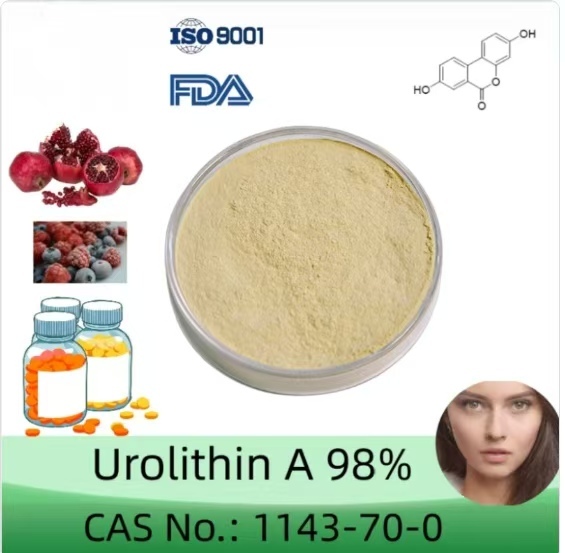 GMP factory Urolithin A  powder CAS 1143-70-0   Urolithin A  low price