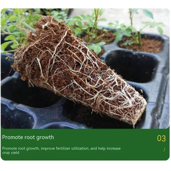 25 Kg de promoción de las raíces Fulfato de potasio 98 95 Superhumato de potasio 95 98 Fuente mineral Fulfato de potasio