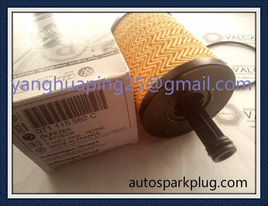 Auto Parts 07111-5562c 1118184 Mn980125 045 115 389 C Oil Filter for Audi/Chrysler/Dodge/Ford/Jeep/Mitsubishi/Seat/Skoda