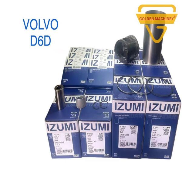 D6d Engine Set 0425-8455 21131-45000 Izumi Replacement Components