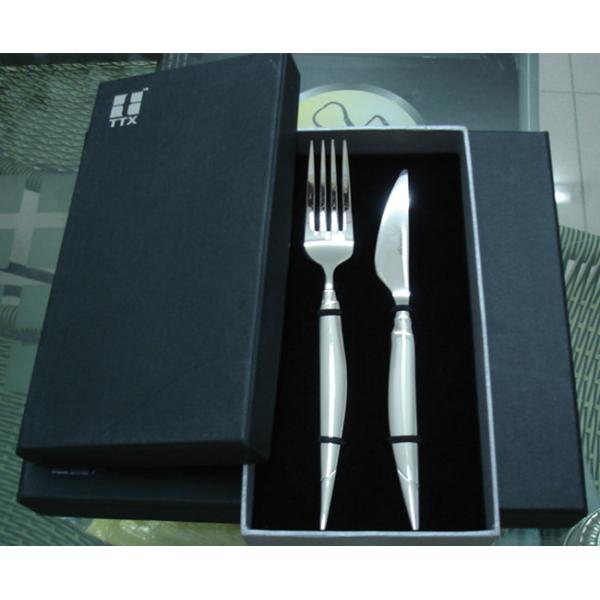 High quality TTX stainless steel cutlery gift set/two pcs set/knife and fork set