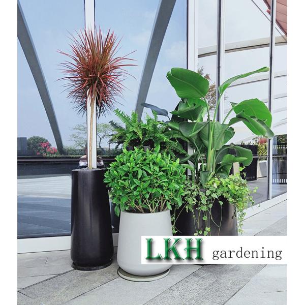 Round Oem 3pcs Large Stainless Steel Planters Shopping Mall Decorate