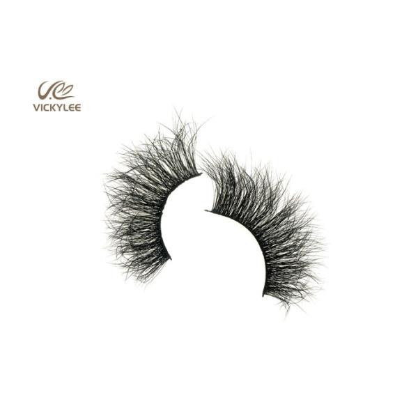 Sustained Plastic Stalk ODM Dramatic Fake Lashes