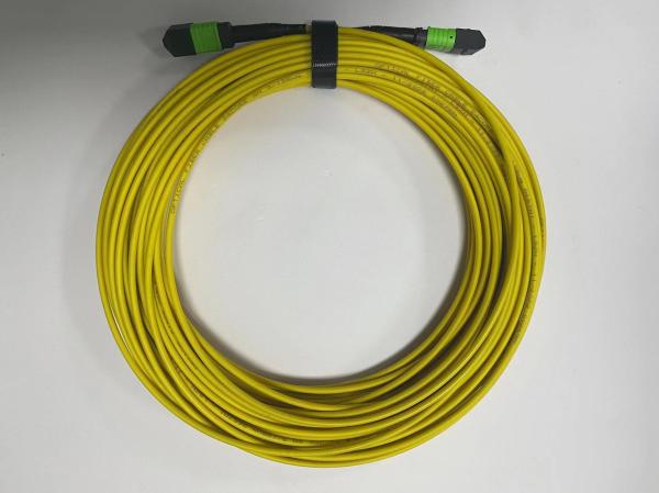 Cable MPO à fibre optique à haute densité MTP/MPO-LC