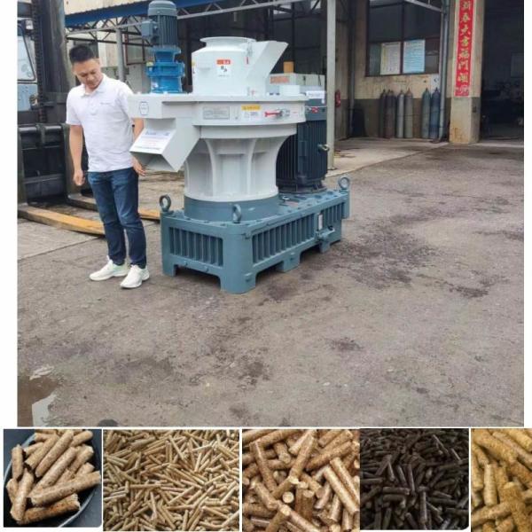 Arroz comercial Straw Pellet Making Machine da máquina 160kw da pelota de combustível da biomassa