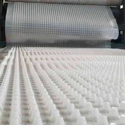 Foundation HDPE High Density Polyethylene Drainage Mat For Water Management
