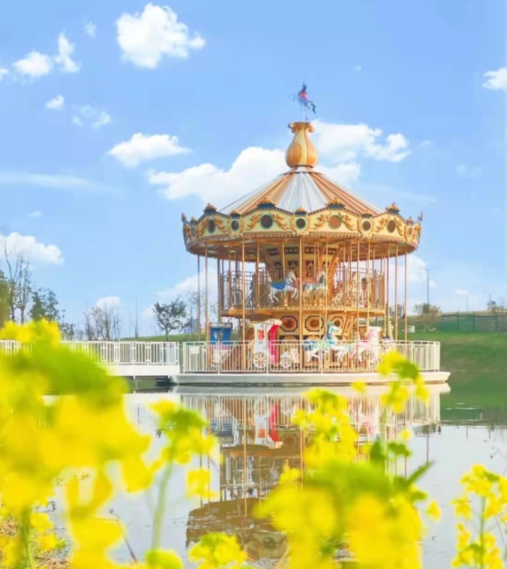 Amusement Ride Carousel