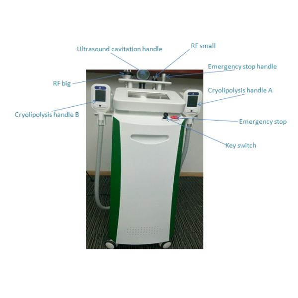 Professional NBW-C325 cool technology body slimming weight loss cryolipolysis machine