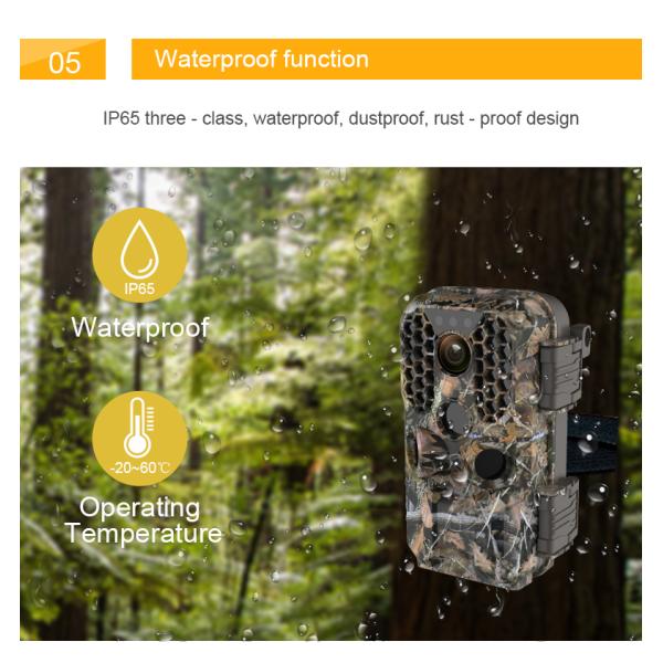 4k IR LED Night Vision Outdoor Wildlife Camera , Security Digital Trail Camera