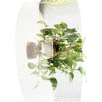 Ecrã adesivo LED P4 para interiores
