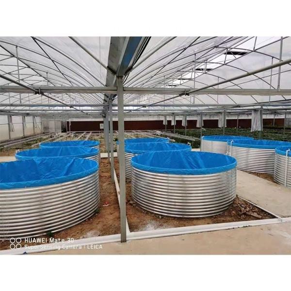 Customized Galvanized Fish Pond High Capacity For Commercial Farming