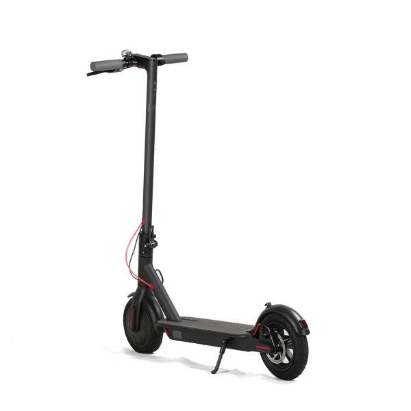 8.5 Inch 2 Wheel Electric Scooter Adult Standing Skateboard 36V 250W Motor Power
