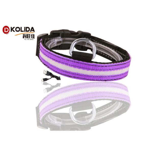 Glow Dog Puppy Usb Rechargeable Flashing Collar Safety Nylon Leash Harness