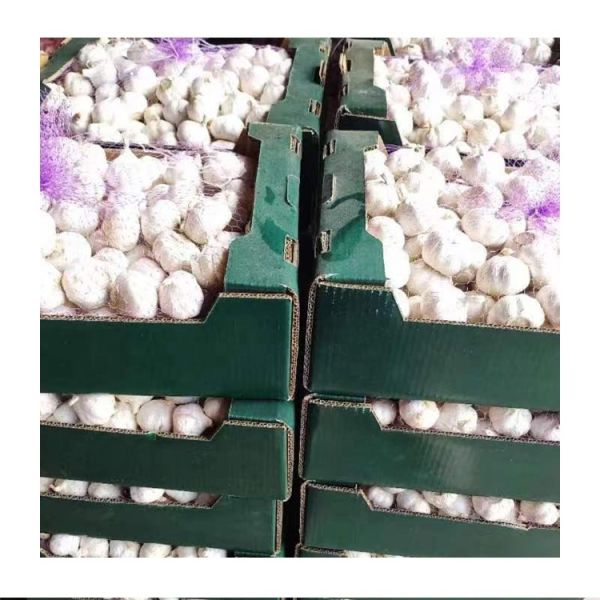 Best Price Organic Chinese White Garlic High-quality Light Spicy Packed in Fresh Net Bag Pure Newest Crop Direct From the Farm