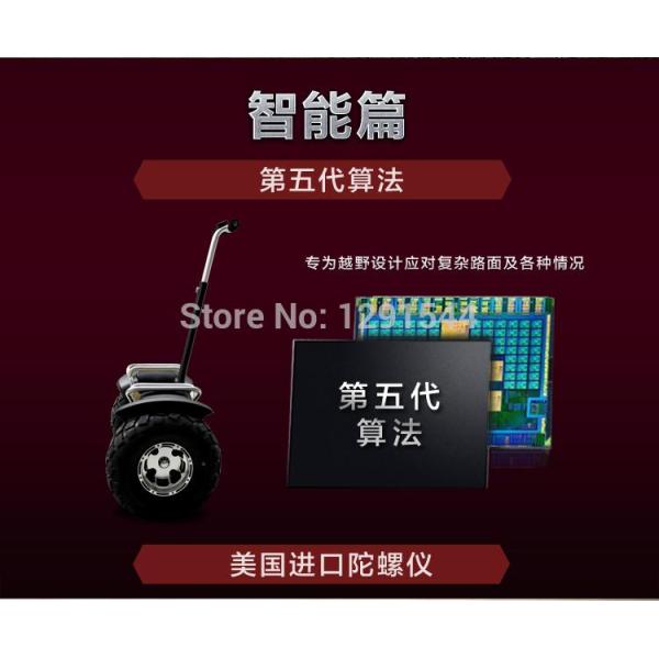China Electric Scooter factory Manufacturer Supplier Self Balancing  Two Wheel Segway Big Wheel Scooter