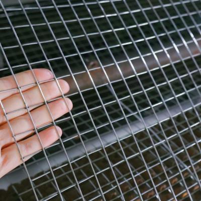 1/2X1/2 Galvanized Welded Wire Mesh Rolls For Garden Fence
