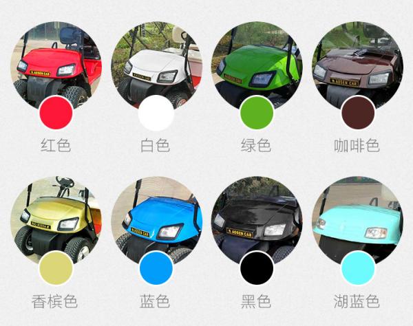 Resort Leisure Electric Sightseeing Car 8 Seater Golf Buggy With Remote Control