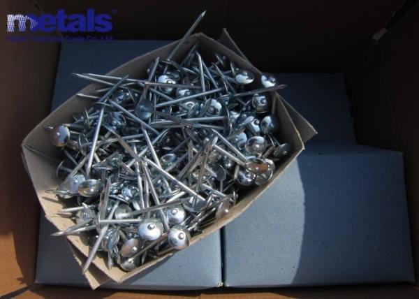 2.5X9 Smooth Shank Electro Galvanized Roofing Nails For Roofing Sheet