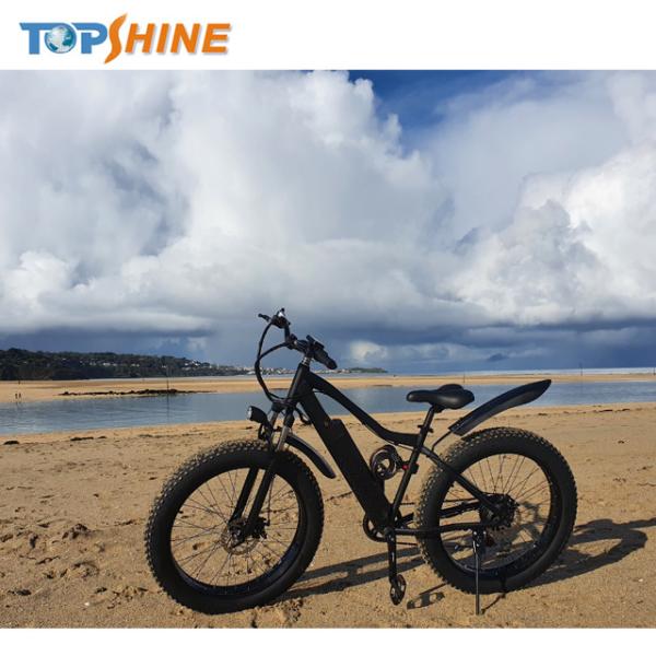 Hydraulic Brake 26X4 Tyre 500w Fat Tire Electric Bike Ebike With GPS Locating LCD