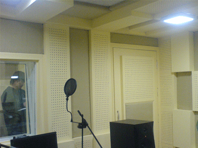 Polyester Fiber Rock Wool Perforated Wood Acoustic Panels For Cinema / Museum