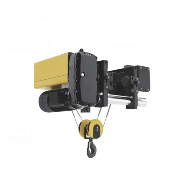 Single Girder Industrial Electric Hoist Remote Control Electric Power Hoist Building Lift Machine