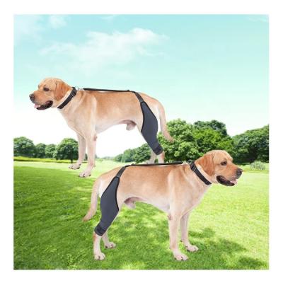 Protetor de jarrete antiderrapante antivibração para perna de cachorro para lesão do ligamento cruzado anterior