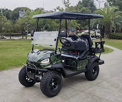 Electric Golf Cart with 2 Seater Lake Horse Transaxle Front LED Headlight