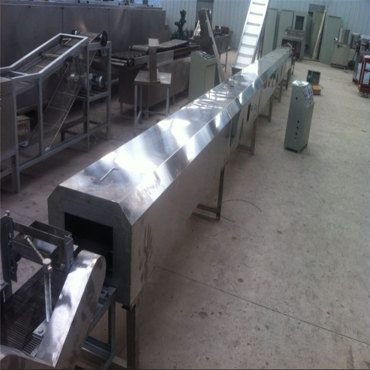 Печенье 1t/Day SS 30x5x3m делая машины