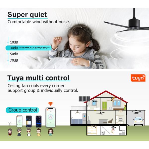 Vento padrão 52 polegadas ventilador de teto com controle remoto e 6 velocidades Mofo privado NO