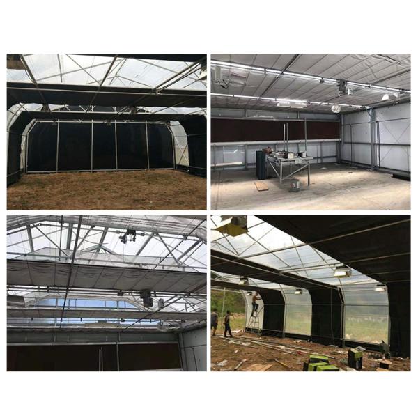 Сельскохозяйственные светочувствительные теплицы - идеальное решение для выращивания грибов