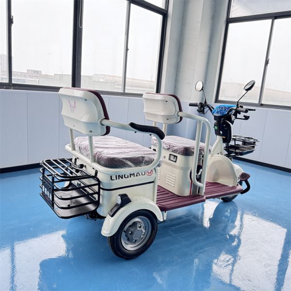 Triciclo eléctrico de ocio con batería de litio de 48V/60V/72V de 3 ruedas, 25 km/h para adultos