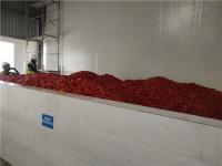 Chaîne de fabrication 2000T/D de tomate de GV concentrant la chaîne de fabrication de ketchup