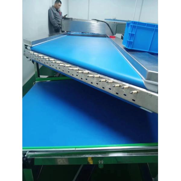 Adjustable Speed Carbon Steel/Stainless Steel Belt Conveyor for Sale