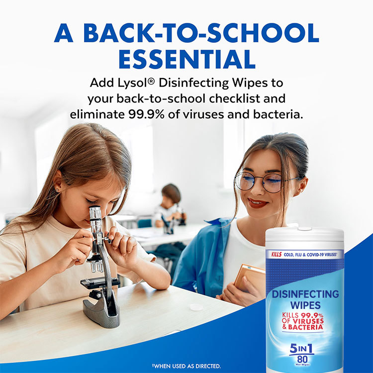 Custom 80sheet Large-Size Dye-Free and Bleach-Free Multi-Purpose Cleaning Disinfecting Wipes for Cleaning