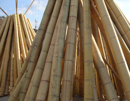 Natural Bamboo Pole 45cm-600cm for Garden Plant Support