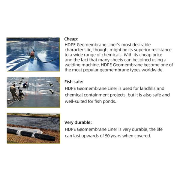 0.2mm Black Plastic Anti-Seepage Geomembrane with CE/ISO9001/ISO14001 Certifications