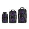 6.5 inch 8inch 10inch brand  graphic EQ control battery powered portable speakers loud