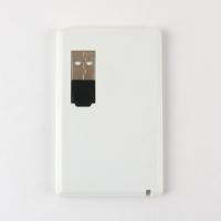 2,0 vara instantânea do UDP Chips Credit Card Usb Memory com leitura do cabo na parte externa