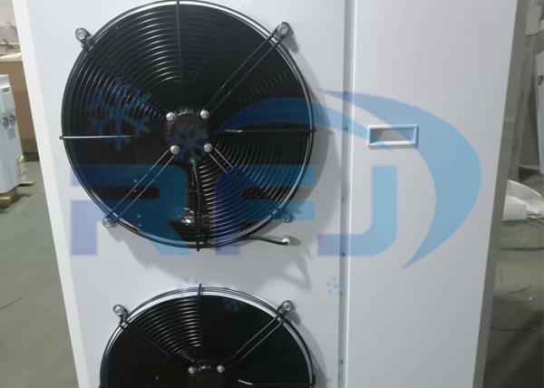 Double Fan Plastic Shell Fan Box Type Health Unit Medium-High Temperature Refrogeration Condensing Unit R404A R22