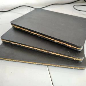 Heavy Industry Mine Conveyor Belt DPP 1000 Aramid Conveyor Belt